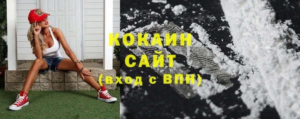 дмт Абаза