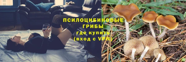 дмт Абаза