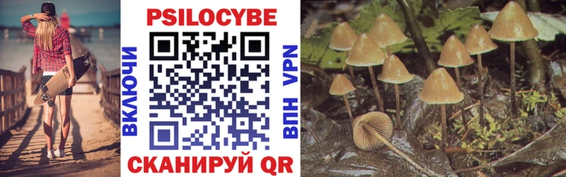Псилоцибиновые грибы прущие грибы  купить   omg ТОР  Александров 